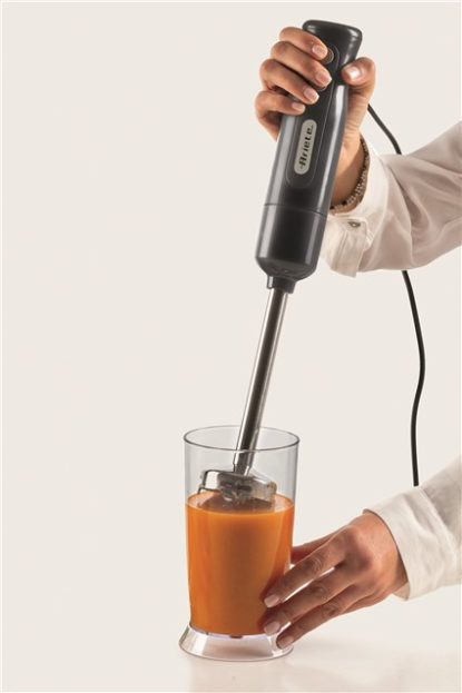 601 FRULLATORE A IMMERSIONE BREAKFAST, 700 W, 2 VELOCITÀ, LAMA IN Acciaio Inox - 10