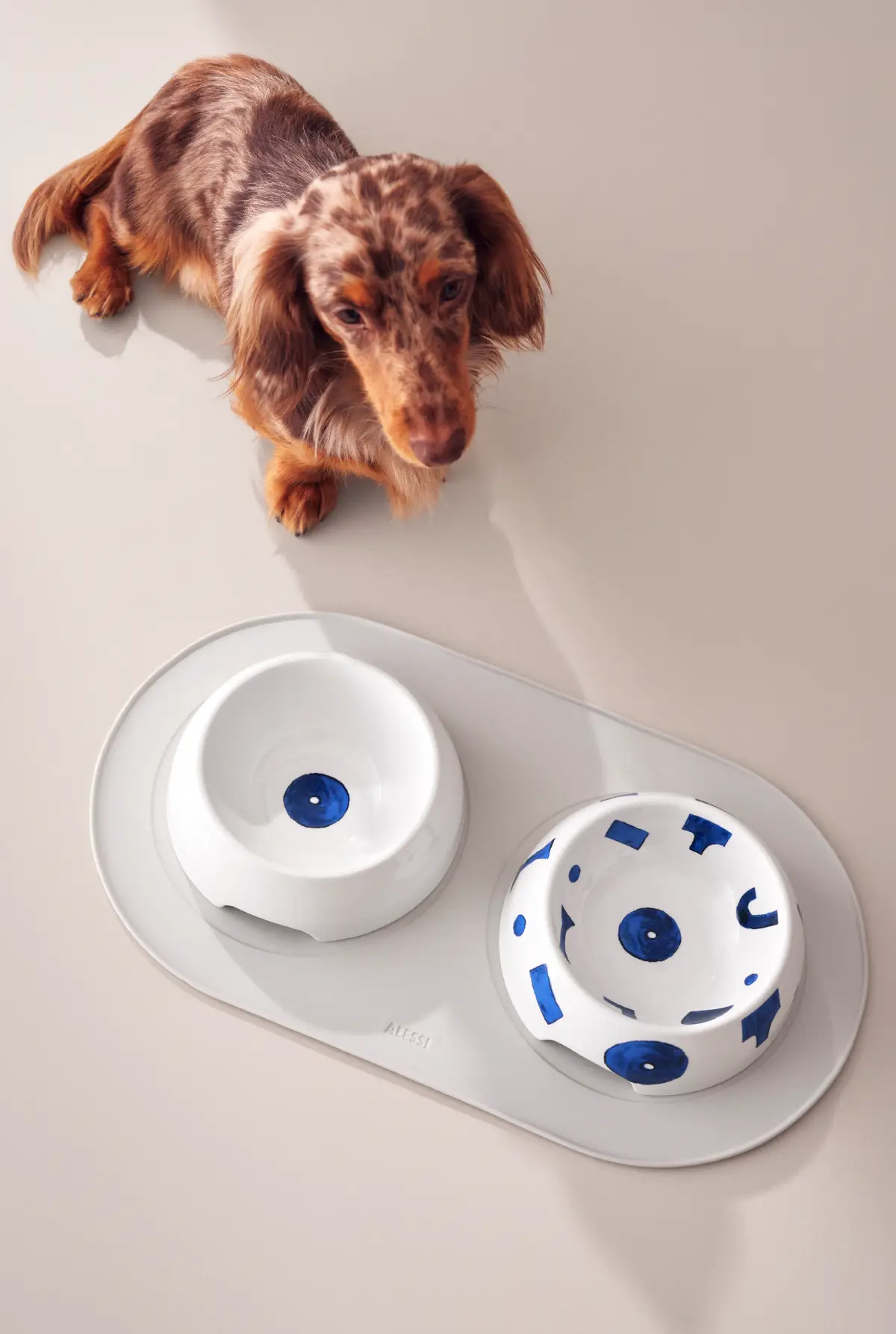 Itsumo Pet Yunoki Ware Diseño contemporáneo también para mascotas
